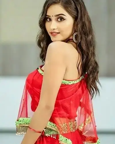 Call Girls Service Amini